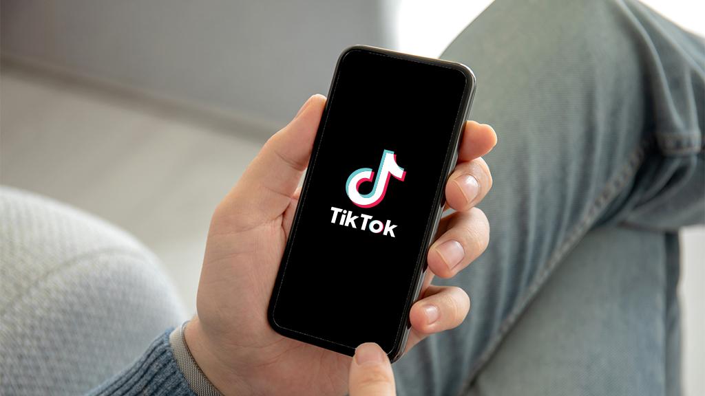 Understand the TikTok Algorithm: 