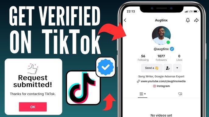 The Essence of Verification on TikTok