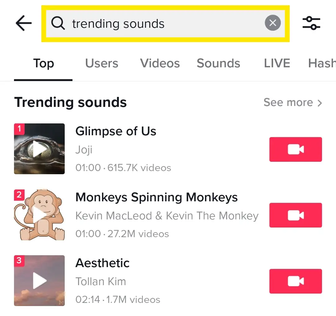 8. Viral Sound Trends